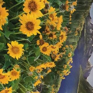 Meet your Posher, Pat